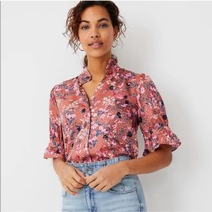 NWOT Ann Taylor rust jaquard print short sleeve blouse Size Medium
